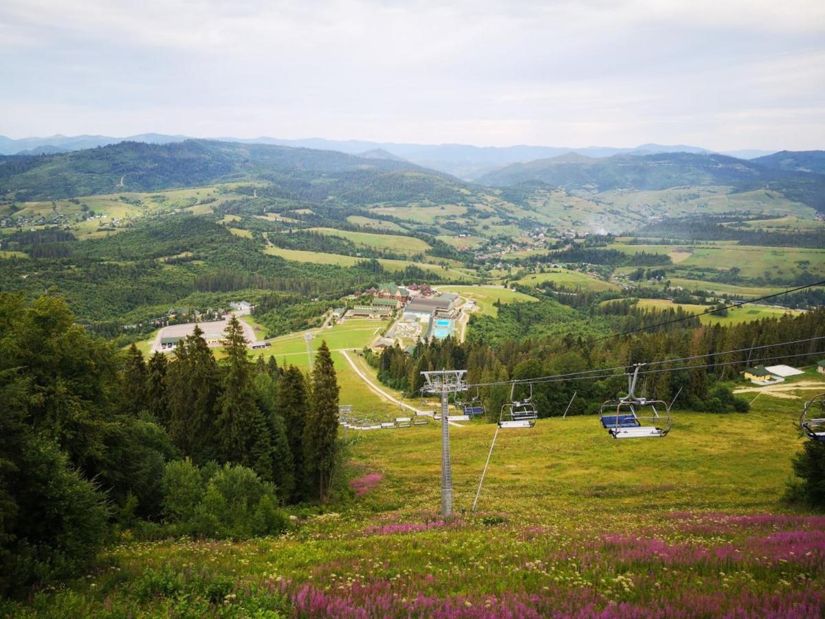 Карпатська Ружа Plave Exterior photo